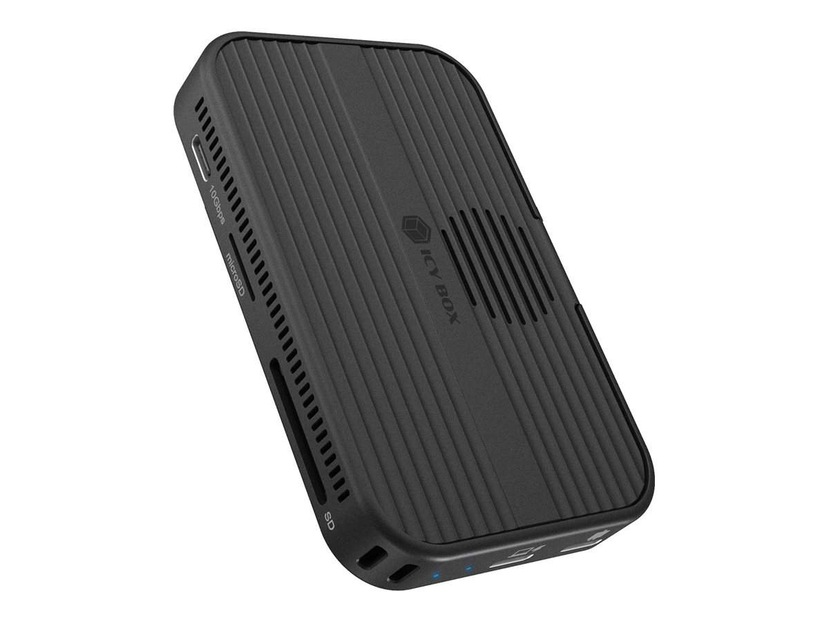 ICY BOX Adapteris Raidsonic Travel Dock