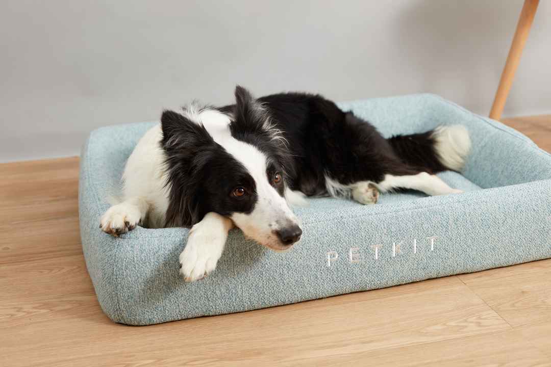 Mājdzīvnieku gulta PETKIT Deep Sleep All