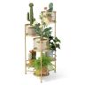 Ziedu statīvs 22,5x22x82cm, zelta krāsā