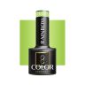 Hybrid polish OCHO NAILS RAINBOW R09
