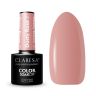 Hibrīda nagu laka CLARESA Dusty Rose 2