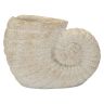 Vāze Shell Sand A, 33 × 23 × 19 cm