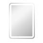 Vannas istabas spogulis ar LED apgaismojumu Homcom 50x4x70cm, sudraba krāsa