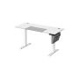 Elektriski augstumā regulējams rakstāmgalds 60x140x120cm, balts/pelēks