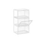Набор из 3 прозрачных коробок для обуви LSP03CW