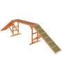 Мостик для собачьей ловкости PawHut 325x55x69см, различных цветов
