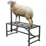 Dzīvnieku slaukšanas un cirpšanas metāla statīvs, regulējams 119x63 cm, melns