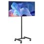 Pārnēsājami TV ratiņi ar riteņiem 17-55 collu ekrāniem, līdz 20 kg, VESA 200x200 mm