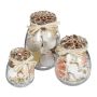 Set of 3 decorative jars with shells, cream color