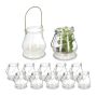 Set of 12 transparent candlesticks 18x10x8.5cm., gold/black color