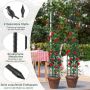 Set of 2 plant supports 30x197cm, black