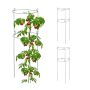 Опоры для растений Relaxdays 10044639.0, 3 шт., по 2 кольца, Ø 26 × 76 см