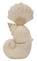 Dekoratīva gliemežvāka skulptūra, 17,2 × 30,2 × 10 cm