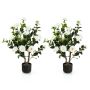 Artificial camellia trees, 2 pcs