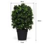 Artificial boxwood tree, Green, 36 × 36 × 60 cm