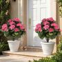 Artificial geranium set, 2 pcs, Pink, Ø 57 × 33 cm