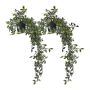 Mākslīgo pothos augu komplekts Relaxdays 10045556.0, 2 gab, 60 × 20 cm
