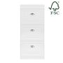 Shoe cabinet 53x24x117cm., white/silver color