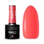 Гибридный лак CLARESA FLUO 6