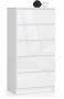 Chest of drawers NORE K60 with 5 drawers, glossy white