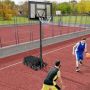 Basketball weight bag, up to 136 kg, 75 × 41 × 12 cm