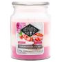 Ароматическая свеча «Candle Brothers», «Strawberry Cheesecake», 15 × 10 см