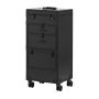 Мобильный парикмахерский чемодан Gabbiano V21, 44 × 35 × 86 см
