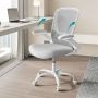 Office chair, gray/white