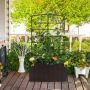 Raised bed with trellis, 34 l, 61 × 20 × 11 cm