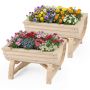 Raised beds, 2 pcs, 39 × 30 × 24 cm
