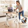 Adjustable Height Desk, Mobile with Casters, 31.5 × 16 × 27.5-46 inches