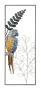 Sienas panelis Parrot, 28,6 × 74,3 × 2,5 cm