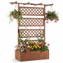 Augu kaste, 96,52 × 52,07 × 27,94 cm
