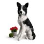Dārza suņa figūra Relaxdays 10053582_9267 Collie, 68 × 34,5 × 43 cm