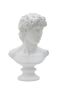 Statuete Mauro Ferretti 0116080000, Vīrieša galva, 21,5 × 34 × 14,5 cm