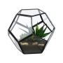 Stikla pods Relaxdays 10050352_46, 14 × 12 × 14 cm
