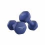 Dumbbell set 2 x 4 kg, blue
