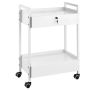 Laboratory trolley, 2-tier stainless steel with drawers, white