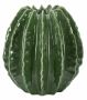 Vāze Cactus Ball, Ø 23,5 × 24,5 cm
