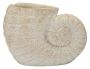 Vāze Shell Sand A, 33 × 23 × 19 cm