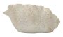 Vāze Shell Sand B, 35 × 18 × 23 cm
