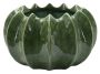 Puķu pods Cactus Basket, Ø 22 × 13,5 cm