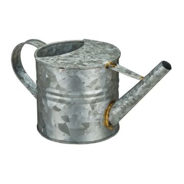Laistīšanas kanna 14x28,5x13cm, 1,3L., sudraba krāsā