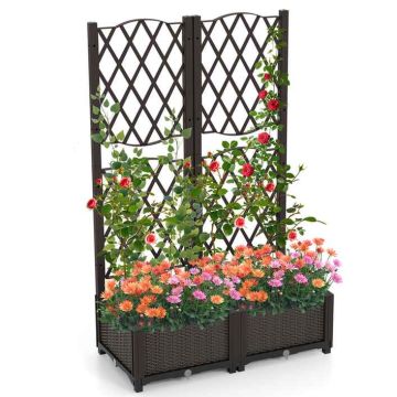 Paceltā dobe 80x40x122cm, brūna krāsa