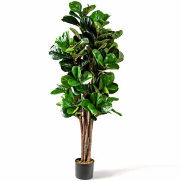 Искусственный фикус 17x150см, разных цветов