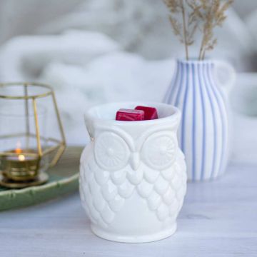 Aromāta lampa Owl, Balta, 10 × 12 × 10 cm