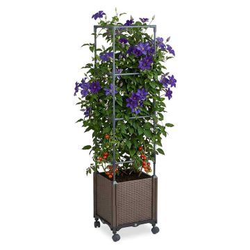Augu pods-tornis Relaxdays 10053237.0, ar režģi un ritentiņiem, 30 × 135 × 30 cm