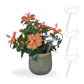 Automātiskās laistīšanas lodītes Relaxdays, 4 gab, 6 × 25,5 cm