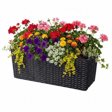 Balkona puķu kaste Relaxdays 10053086_8650, 30 l, bez margu turētājiem, Melna, 50 × 19 × 19 cm