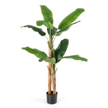 Artificial banana palm, with pot